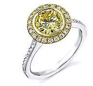 Sareen Collection